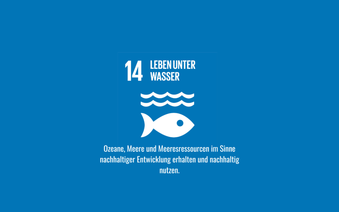 SDG 14 in der Kita umsetzen